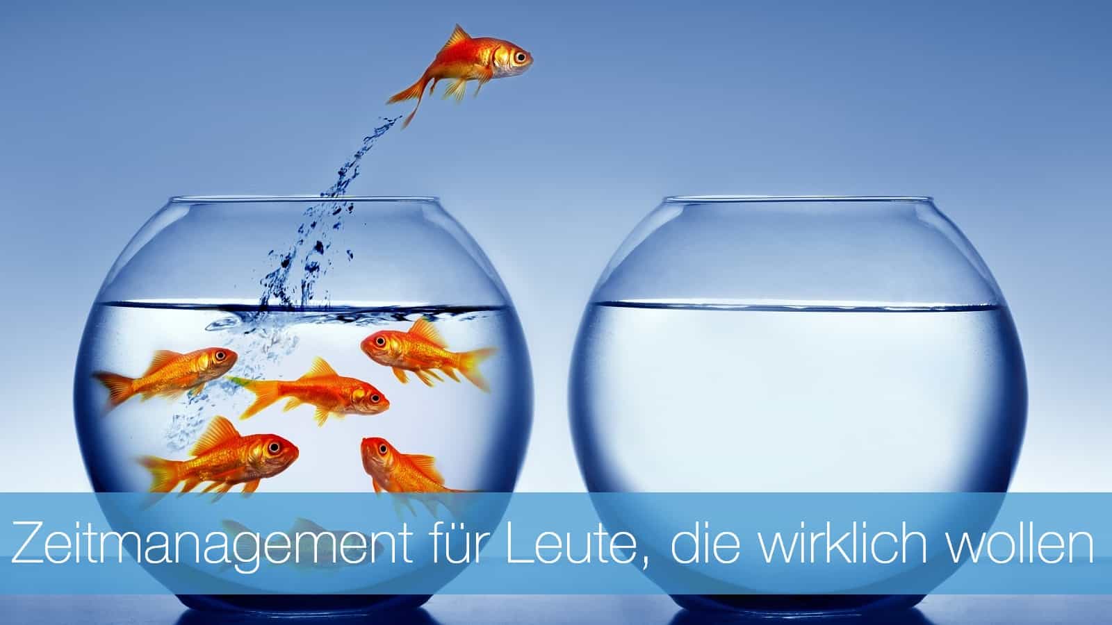 Wenn es um die großen Veränderungen für dein Zeitmanagement geht, dann genügen kleine Optimierungen natürlich nicht. Tools, Hilfsmittel und all …  Weiterlesen