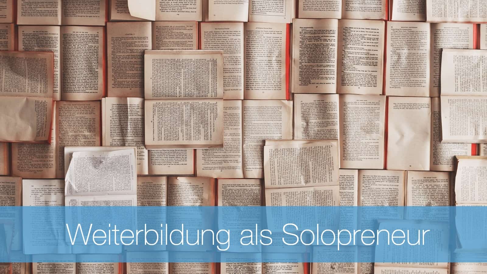 Weiterbildung-Solopreneure