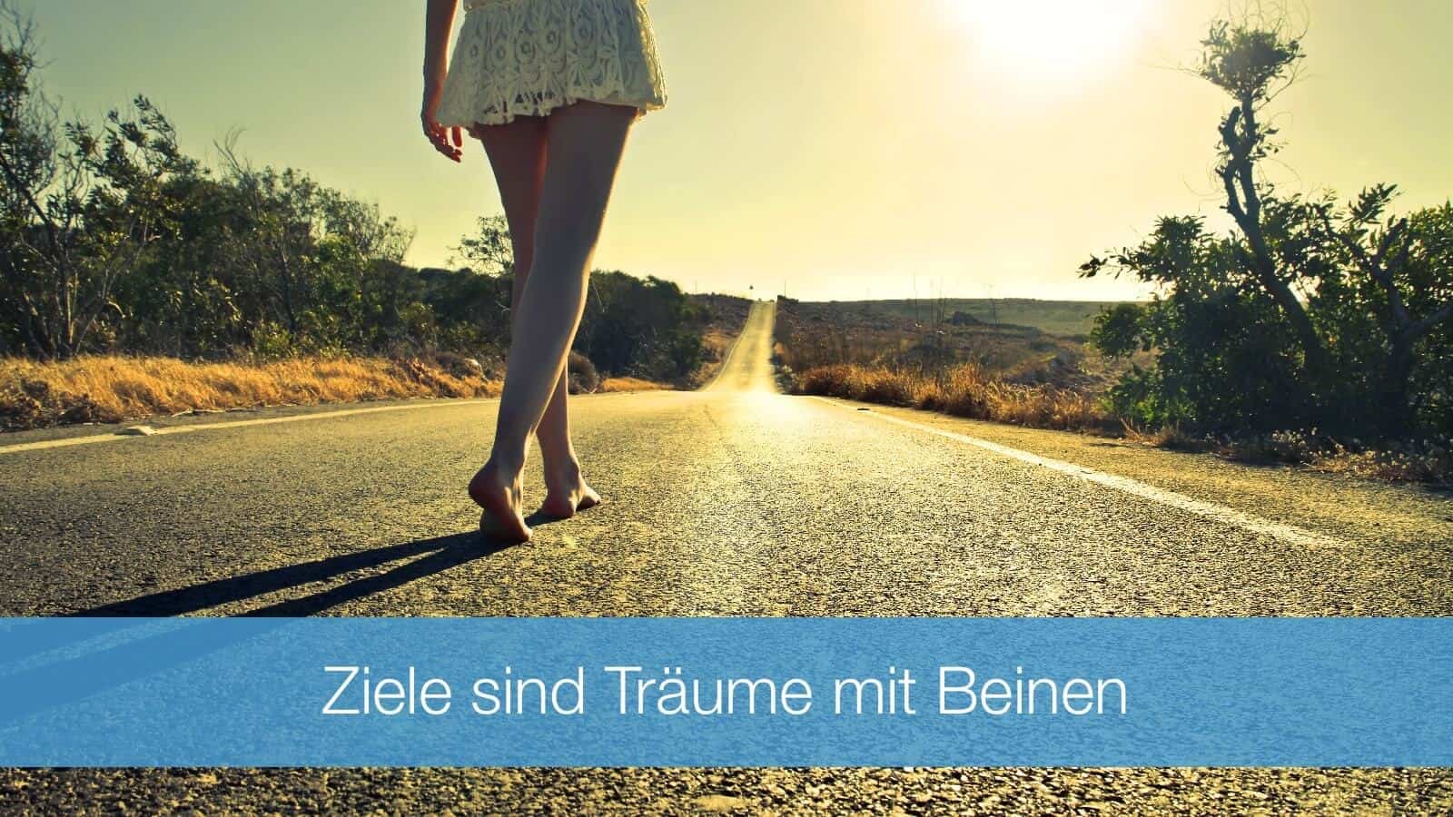 Ziele sind Träume mit Beinen
